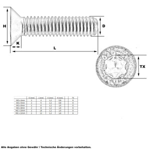 Senkkopf Schraube Torx M2 x 6mm (A2 - ISO14581)