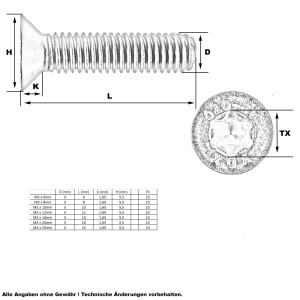 Senkkopf Schraube Torx M3 x 6mm (A2 - ISO14581)